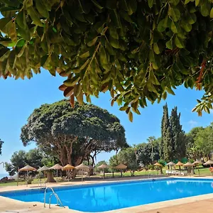 Lemon Tree , Benalmádena España