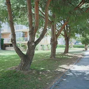 https://apartamento-benalmadena-agata.1costadelsol.com